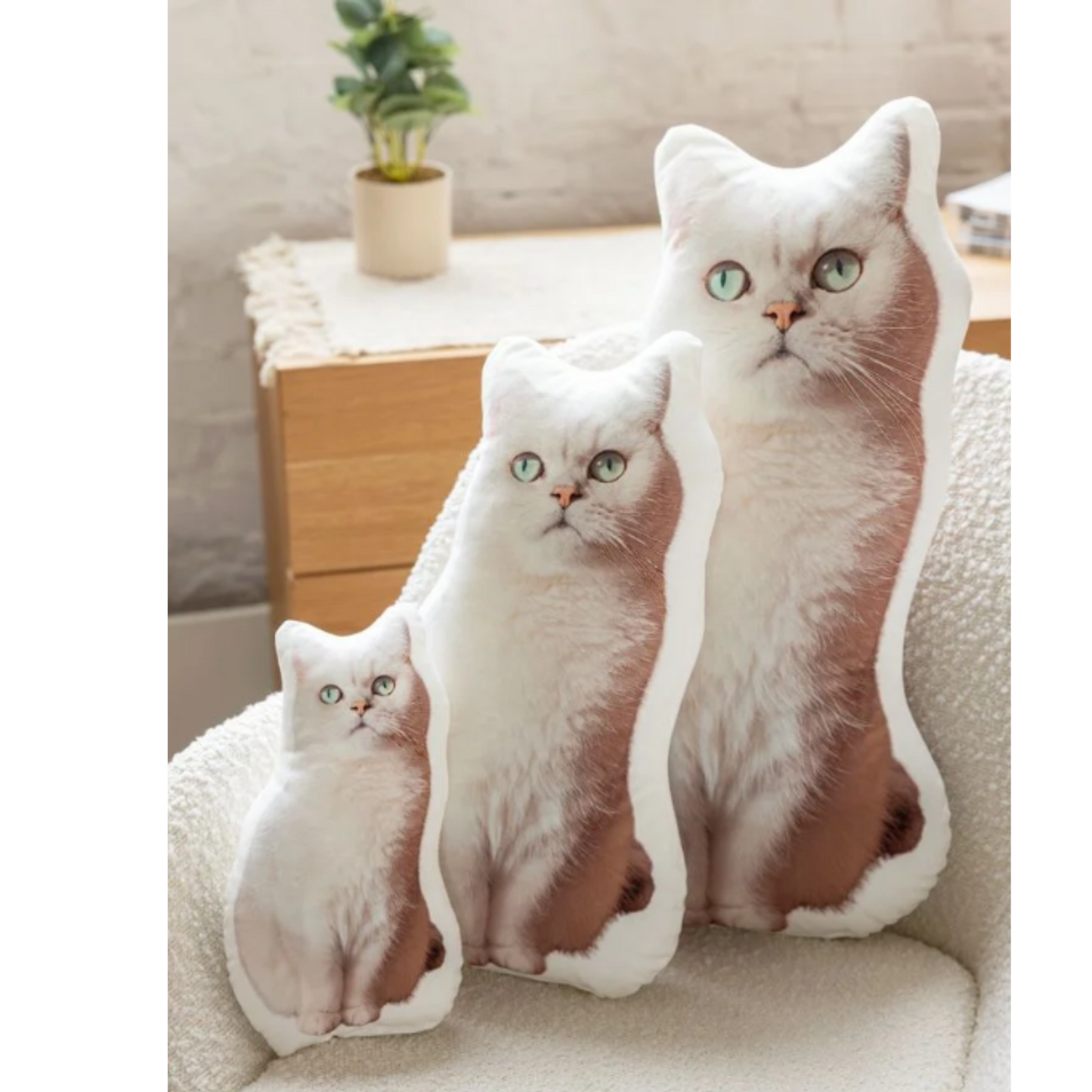 Design A Pillow